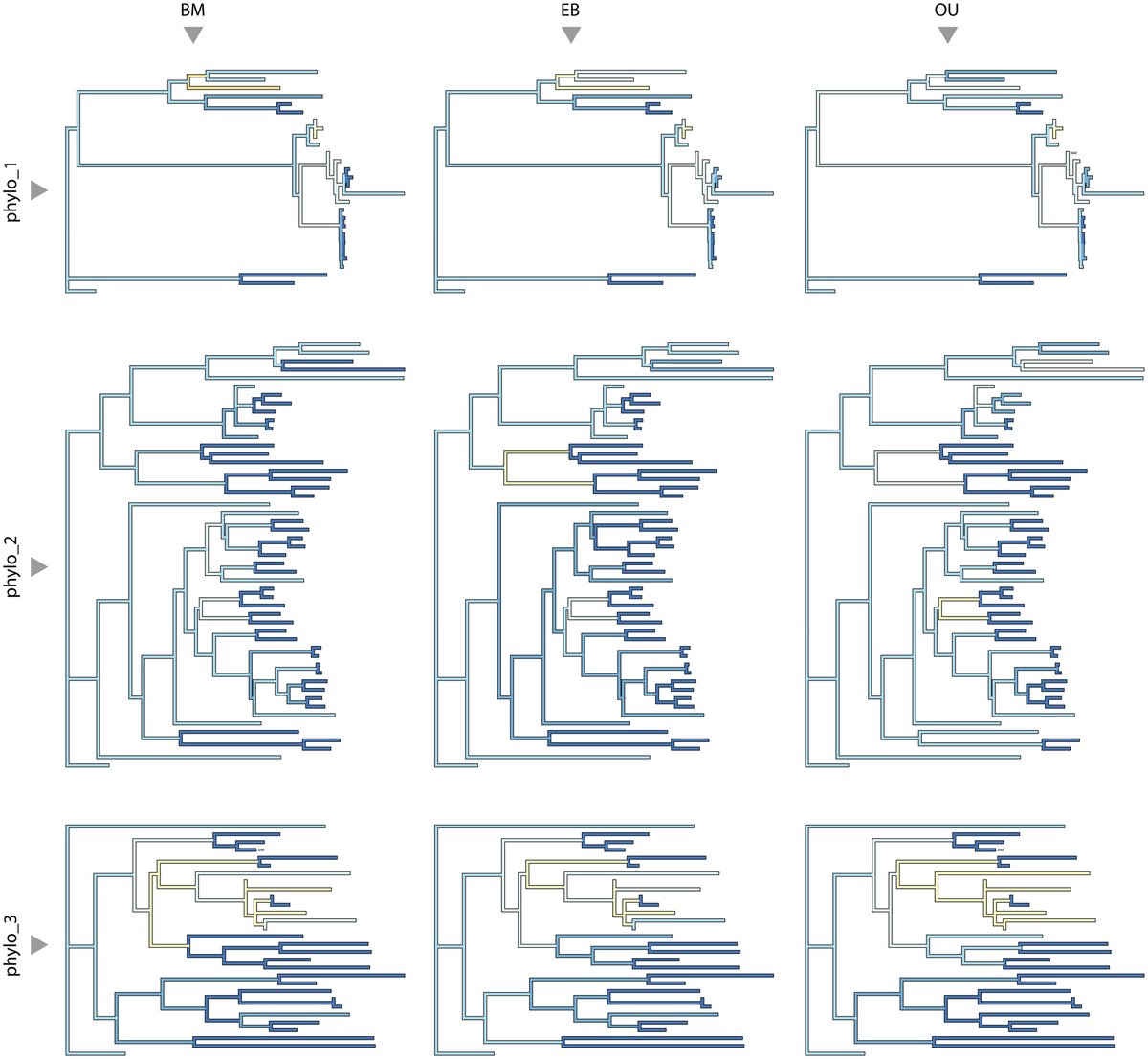 CladisticsAlert's tweet image. ⚠️ #NewPaperAlert🚨
Accuracy of phylogenetic reconstructions from continuous characters analysed under parsimony and its parametric correlates

By Tagliacollo et al.
shorturl.at/pz7PL

#ModelBasedMethods #GeometricMorphometrics #Morphology #Parsimony #Phylogenetics