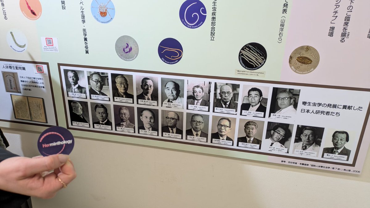 Nichola Calvani (@nicholacalvani) on Twitter photo Tokyo bucket list: visiting the world's best parasite museum! I'm not sure my husband had as much fun as I did, especially when meeting the longest tapeworm ever recorded in a human 🪱
Left some <a href="/herminthology/">Herminthology</a> stickers at the gift shop... can't wait to see some women recognised! Tokyo bucket list: visiting the world's best parasite museum! I'm not sure my husband had as much fun as I did, especially when meeting the longest tapeworm ever recorded in a human 🪱
Left some <a href="/herminthology/">Herminthology</a> stickers at the gift shop... can't wait to see some women recognised!