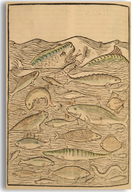 Muziek | Encyclopedie | Buys Ballot | Binnenstebuiten | Veere | Agenda | Vacatures | lid worden - mailchi.mp/12582cfecde2/l…