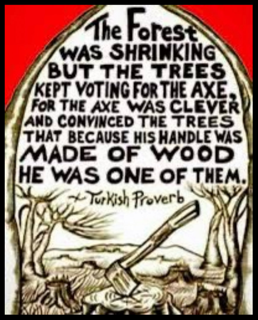 kangaroos991's tweet photo. NEVER vote for the axe! He doesn't care about you, and can't be trusted because he's ONLY after your wood!
Protect our native forests and wildlife, especially 'endangered' species; when they're gone, they're gone FOREVER! ☹️
#ThereIsNoPlanetB
#ProtectTheTrees #SaveTheBees https://t.co/OBHA5HXxVe