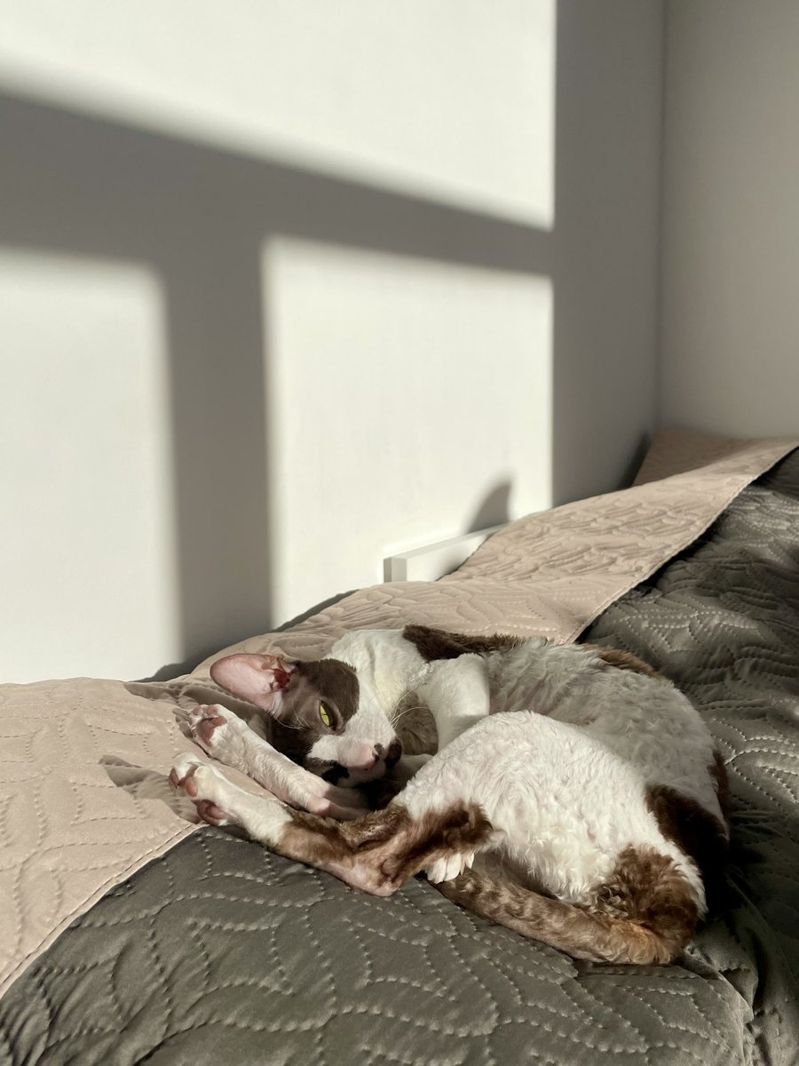 ну наконец-то можно на солнце погреться, а не у батареи!