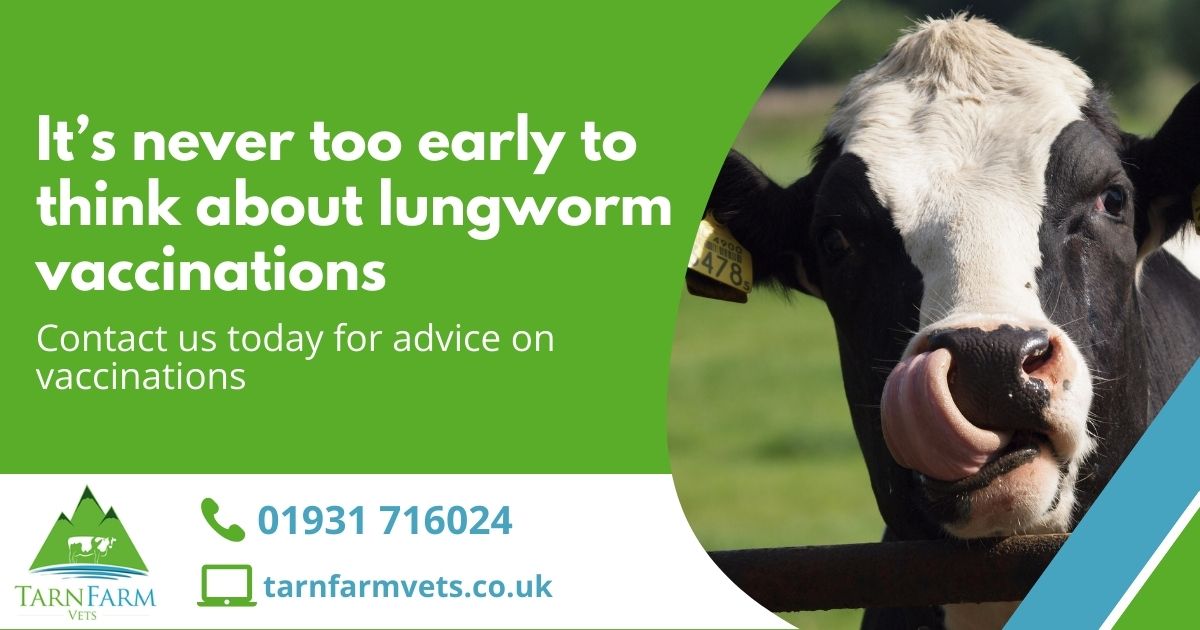 tarnfarmvets tweet media