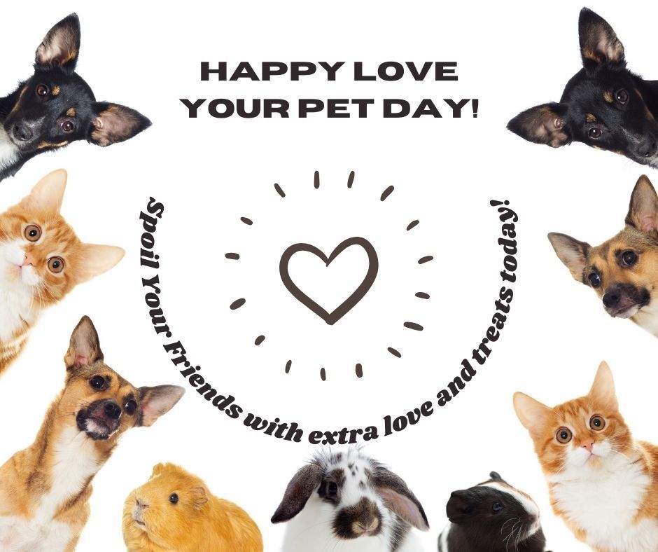 Happy National Love Your Pet Day! 🎉
Today’s all about giving extra love to our furry (or scaly or feathery) besties! Drop a pic of your adorable pets in the comments—we’d love to see them! ❤️🐶🐱🐰 
#NationalLoveYourPetDay #NESClib