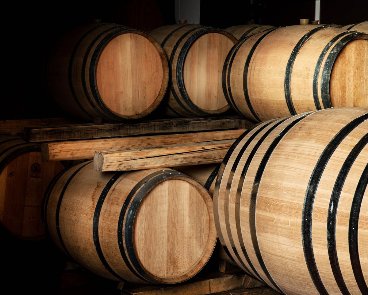 Attems_wines's tweet photo. As the days pass between the rows, the wines refine their character in our barrels, enriching themselves with new notes.

#Attems #AttemsWines #Friuli #wine #winelovers #instawine #winetime #ilbuonodelfriuli https://t.co/DZQXdLpKSm