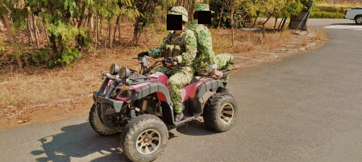 Driving an ATV ：）
#arma3 #AAF