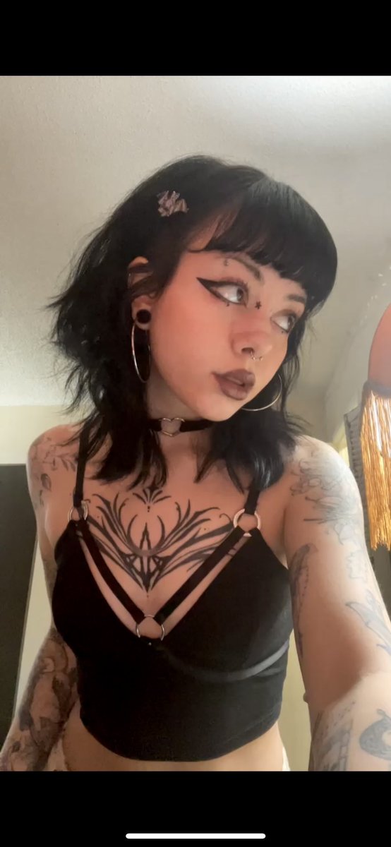 hallowkatt's tweet photo. ⭐️ https://t.co/9NIEoiv1x8