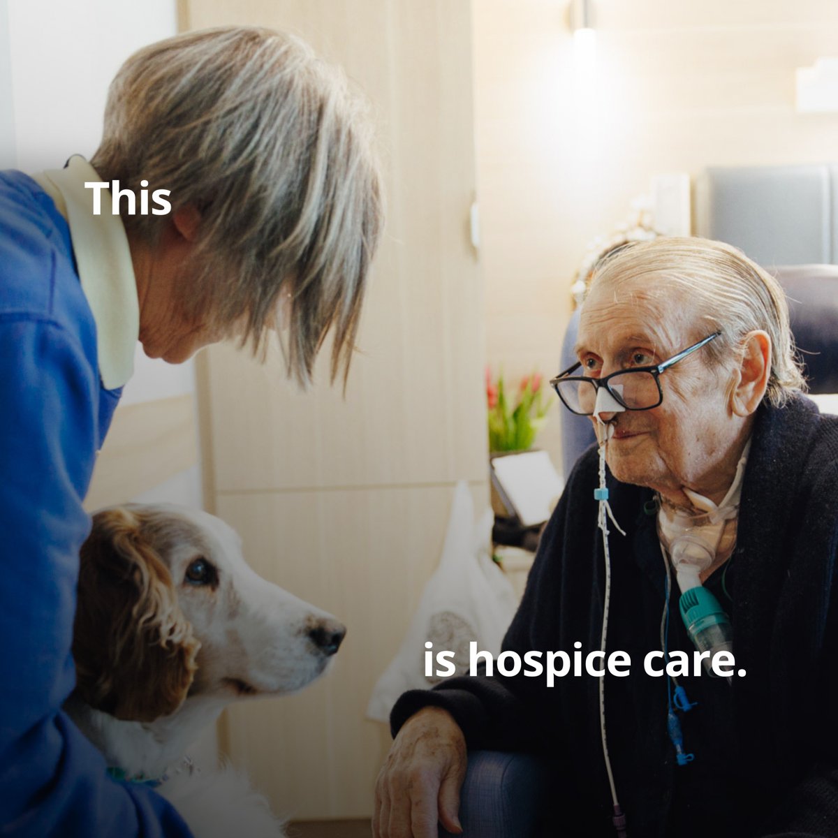 Every moment in our history has been shaped by someone like you.

Together, let’s make sure the legacy of care lives on for future generations 💙

strichards.org.uk/gift-in-will

#ThisIsHospiceCare