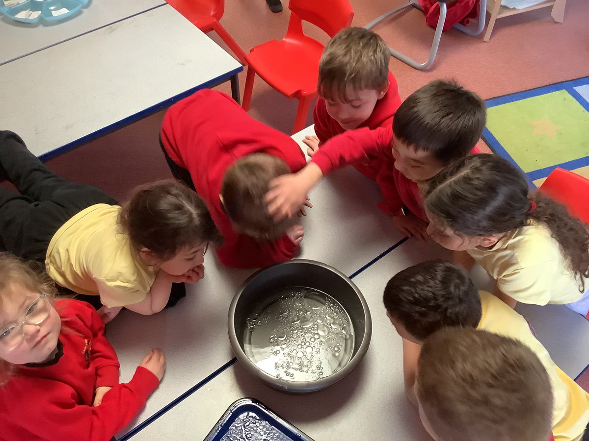 CGIPhillips's tweet photo. We have been learning about the ocean and how we can help protect the animals and wildlife that call the ocean home. We created our own oil spill to find out the best way to absorb the oil. #CGISciT #EthicalInformedCitizens https://t.co/BKmP9q4rh1