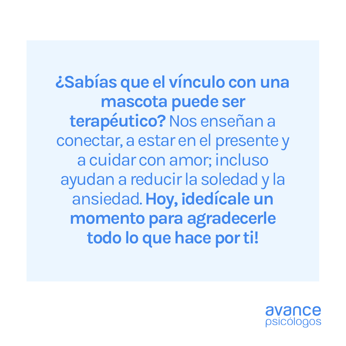 infoAvance's tweet photo. Las #mascotas nos enseñan a amar sin condiciones 🐾❤️

Hoy, en el Día Mundial de Amar a tu Mascota, tómate un momento para agradecerles todo lo que aportan a tu vida. ¿Qué es lo que más quieres de la tuya? 🐶🐱

https://t.co/ERe6yvsejl https://t.co/YA9Bw3YJbD