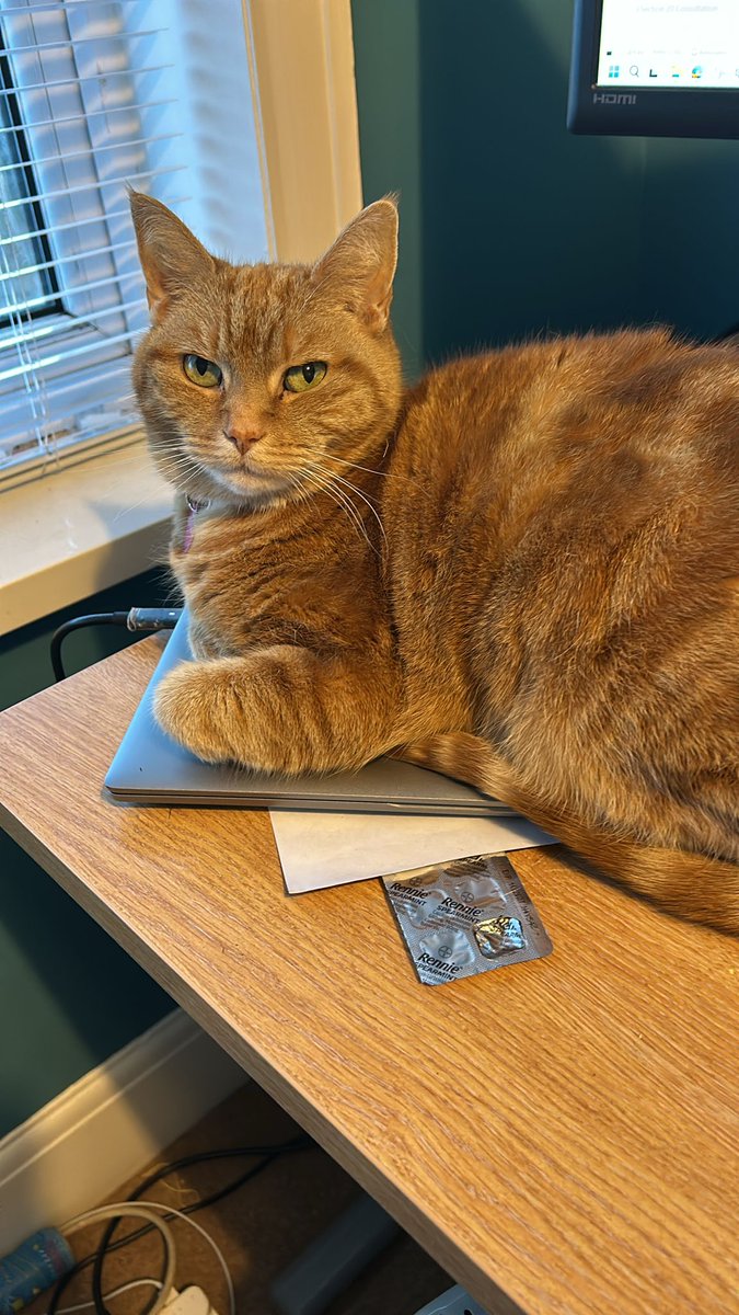 Jay Johnson tweet media