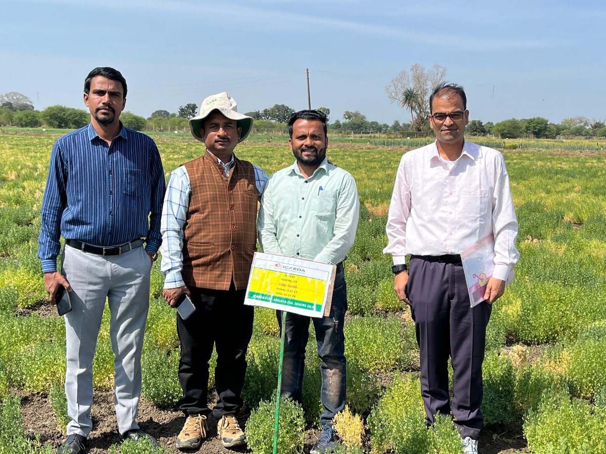 Ashutosh Kumar Yadav (@akybio) on Twitter photo 🌱 Field Visit Alert! 🚜
Dr. Muraleedhar Aski Sr. Scientist ICAR-IARI, New Delhi & Mr. Jaiswal from NSC visited <a href="/ICARDA/">ICARDA</a>-FLRP, Amlaha to monitor Lentil & Chickpea Breeder Seed Production.
<a href="/ShivKAgrawal/">Shiv Agrawal</a> <a href="/BaumBCI/">Michael Baum</a>
#Agriculture #SeedProduction #Lentil #Chickpea 🌱 Field Visit Alert! 🚜
Dr. Muraleedhar Aski Sr. Scientist ICAR-IARI, New Delhi & Mr. Jaiswal from NSC visited <a href="/ICARDA/">ICARDA</a>-FLRP, Amlaha to monitor Lentil & Chickpea Breeder Seed Production.
<a href="/ShivKAgrawal/">Shiv Agrawal</a> <a href="/BaumBCI/">Michael Baum</a>
#Agriculture #SeedProduction #Lentil #Chickpea