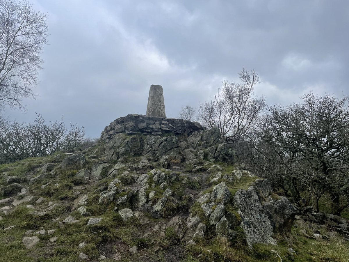 Bardon hill. Highest point in Leicestershire. A Marilyn at the dizzying heught of 247m!
@TrigThursday
<a href="/trigbagging/">UK Trigbagging</a> 
#trigpointthursday