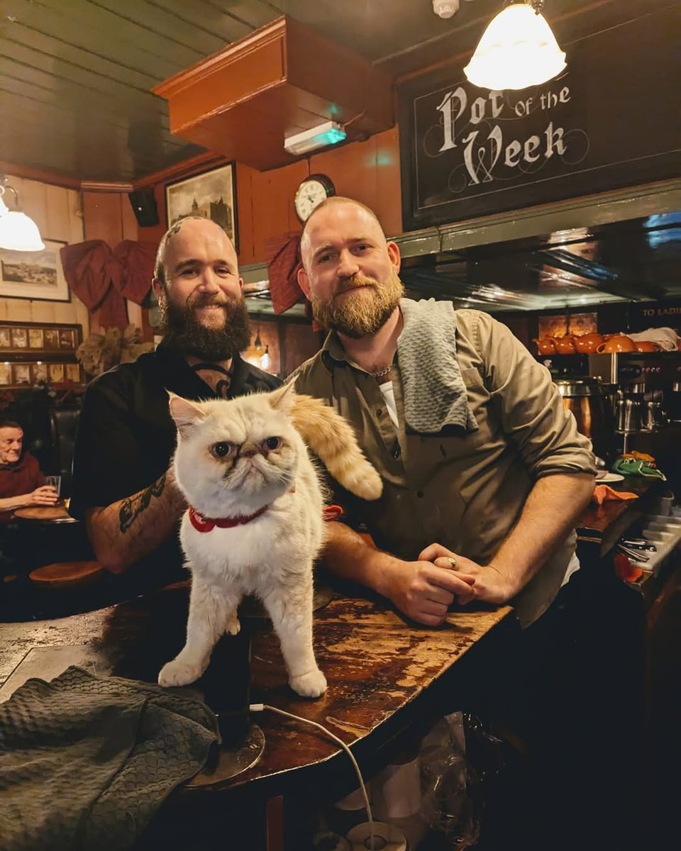 Time to raise a glass (or a water bowl) on National Love Your Pet Day to our pub pets who bring bucket loads of love to the pubs (and the occasional muddy paw print or two) 🐾

Bonus points if you know which pubs you'll find them in...

#NationalLoveYourPetDay #DogFriendlyPubs