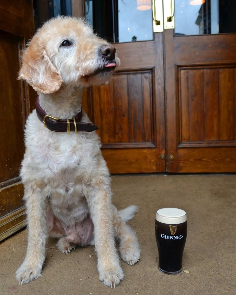 Young's Pubs tweet media