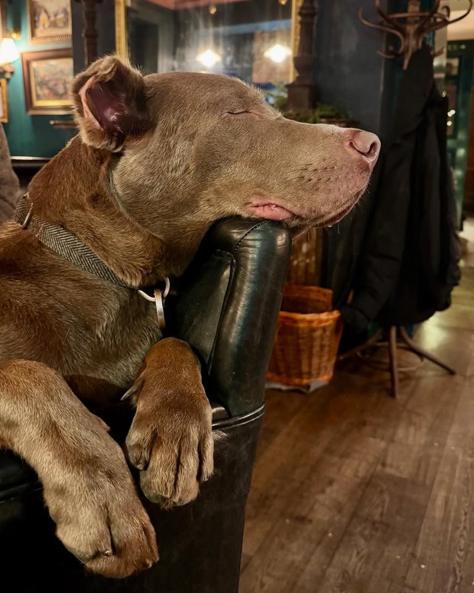 Young's Pubs tweet media