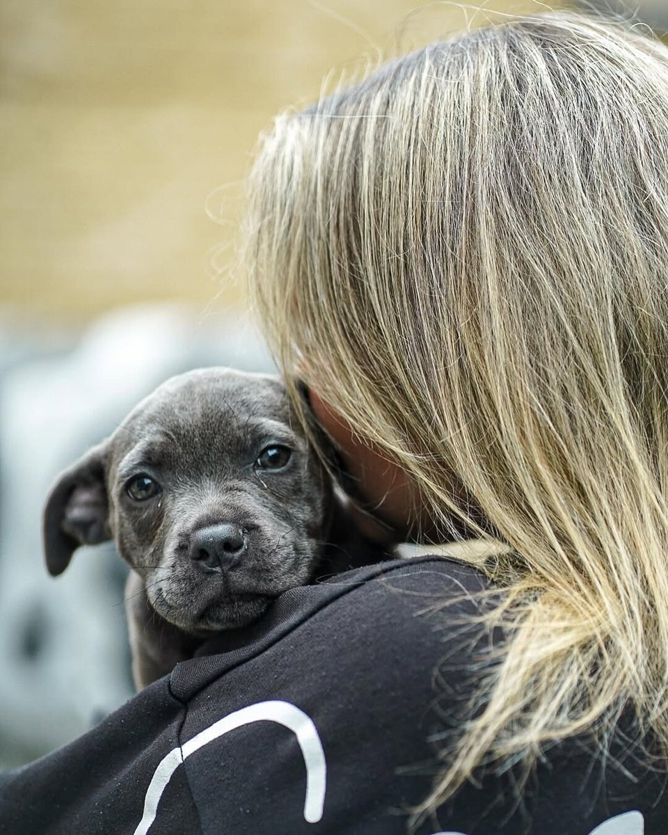 Young's Pubs tweet media