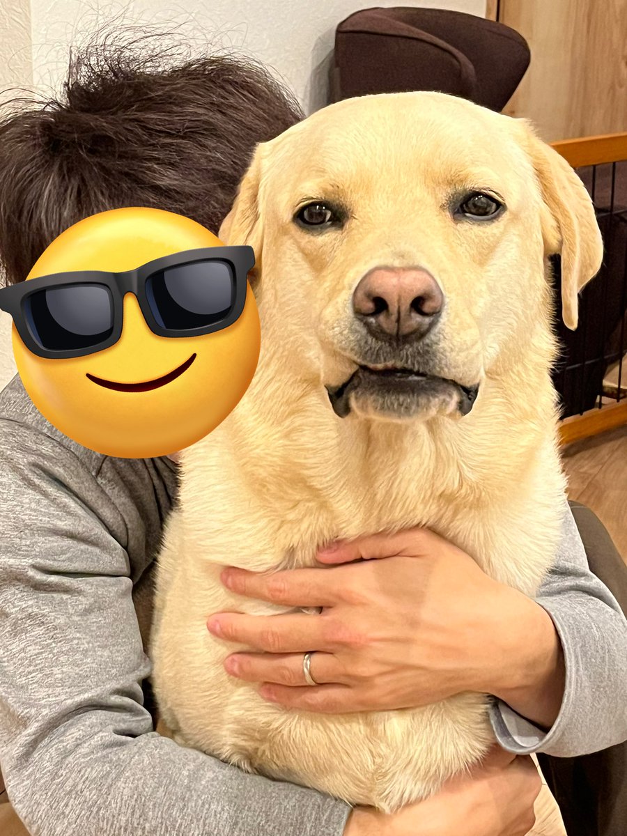 仕方ないなぁって顔に出過ぎ🤣
自分からパパのお股に入り込んできたくせに😂