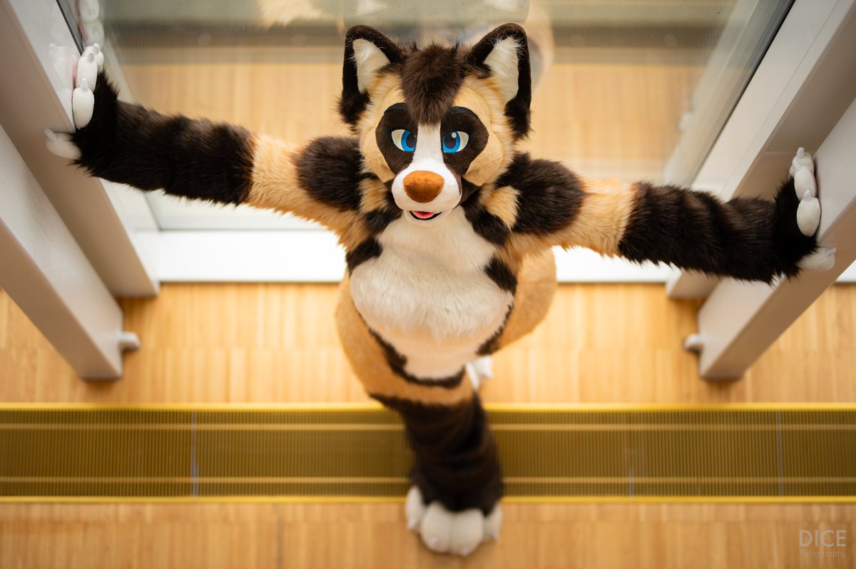 NFC has officially started!
Still looking for a photographer to take your pictures? I got you covered!
~45 min. / 12-15 pics / €120

dicephotography.be/home