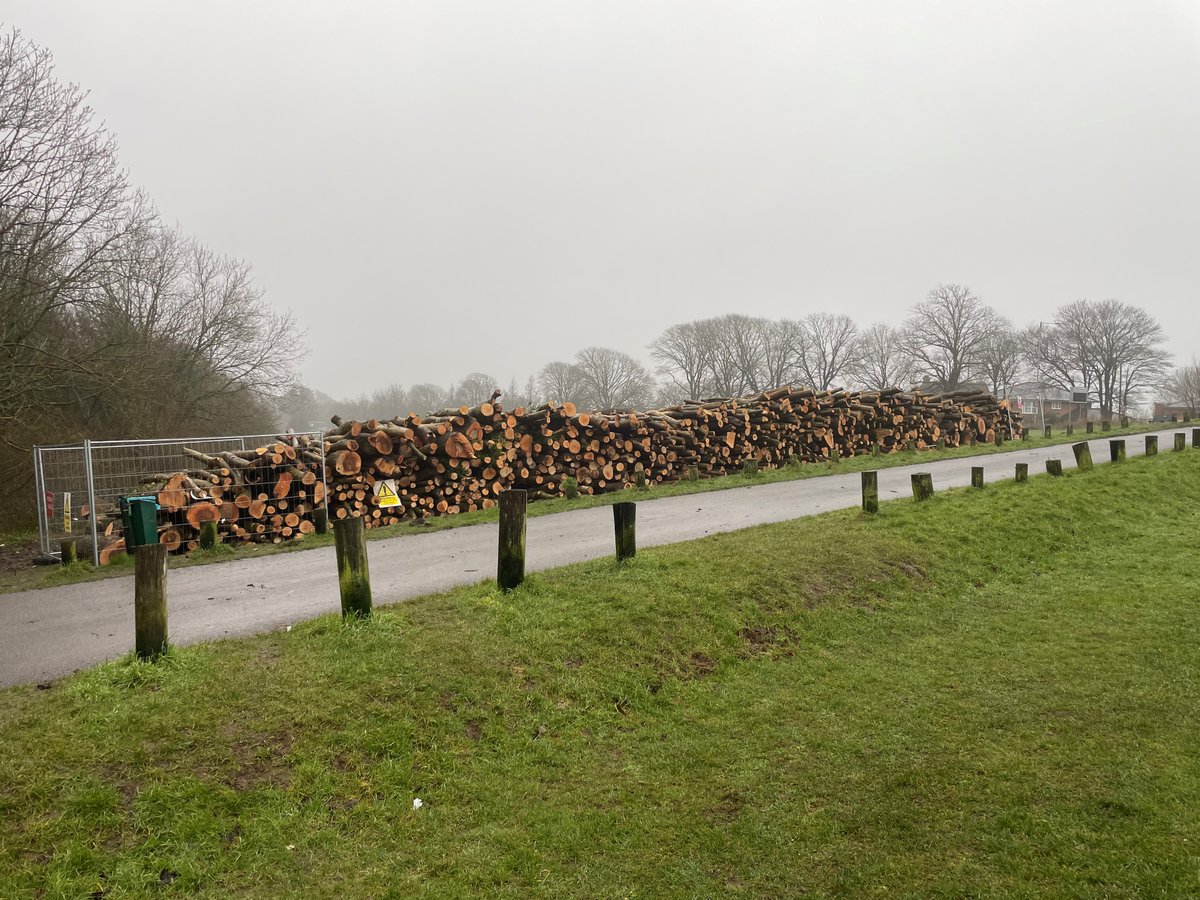 Dave Goulson tweet media