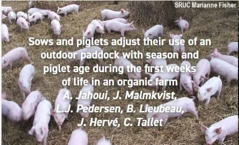 appliedethology's tweet photo. #NewResearchAlert
"Sows and piglets adjust their use of an outdoor paddock with season and piglet age during the first weeks of life in an organic farm" by Jahoui et al. Get the full paper here:
#organicproduction #pigbehaviour #organicpigs
https://t.co/dgoOmKZL61 https://t.co/X8YgxLWY4i