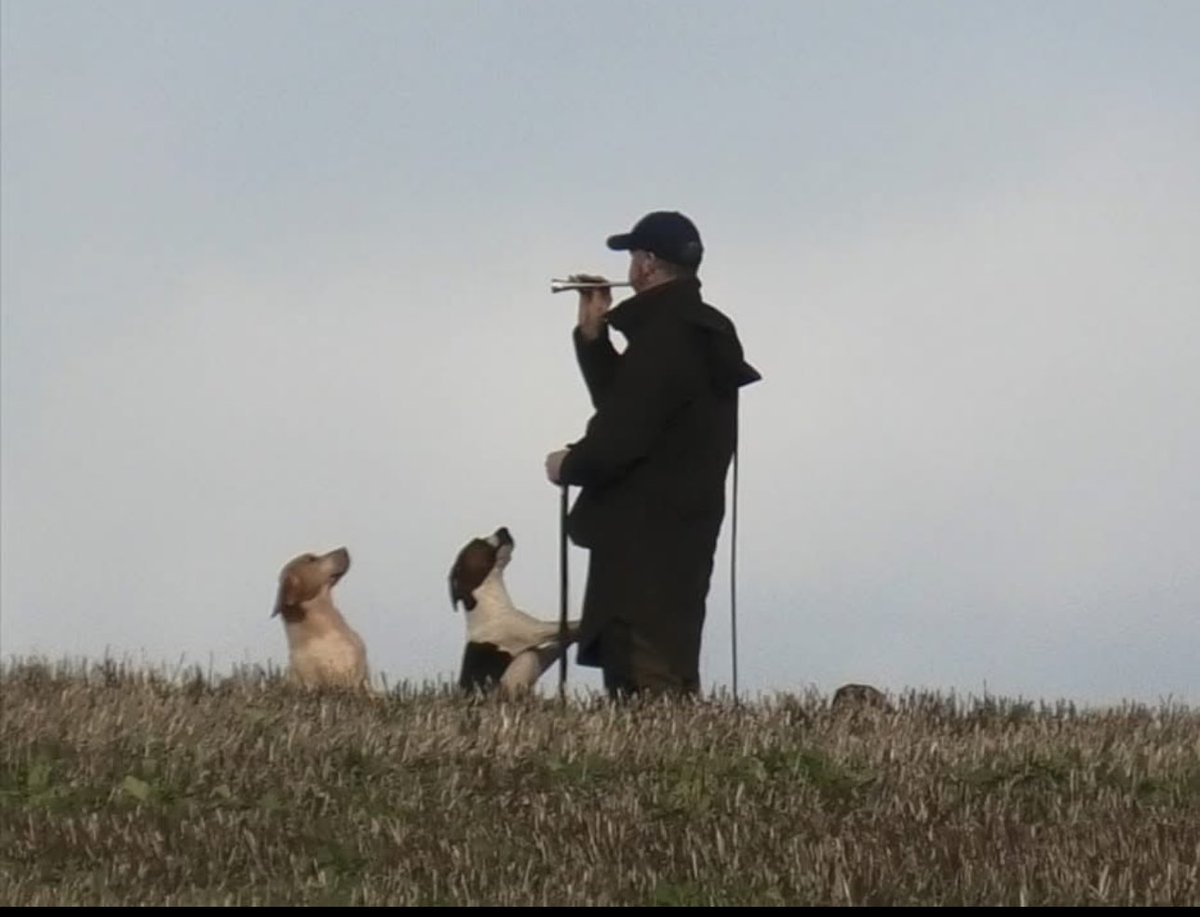 The hunting of animals was banned in February 2005.

With the governments plans to ban trail hunting as well, how will this affect the rural communities across the UK?

Look out for  my story on UEA.journalism later on today.