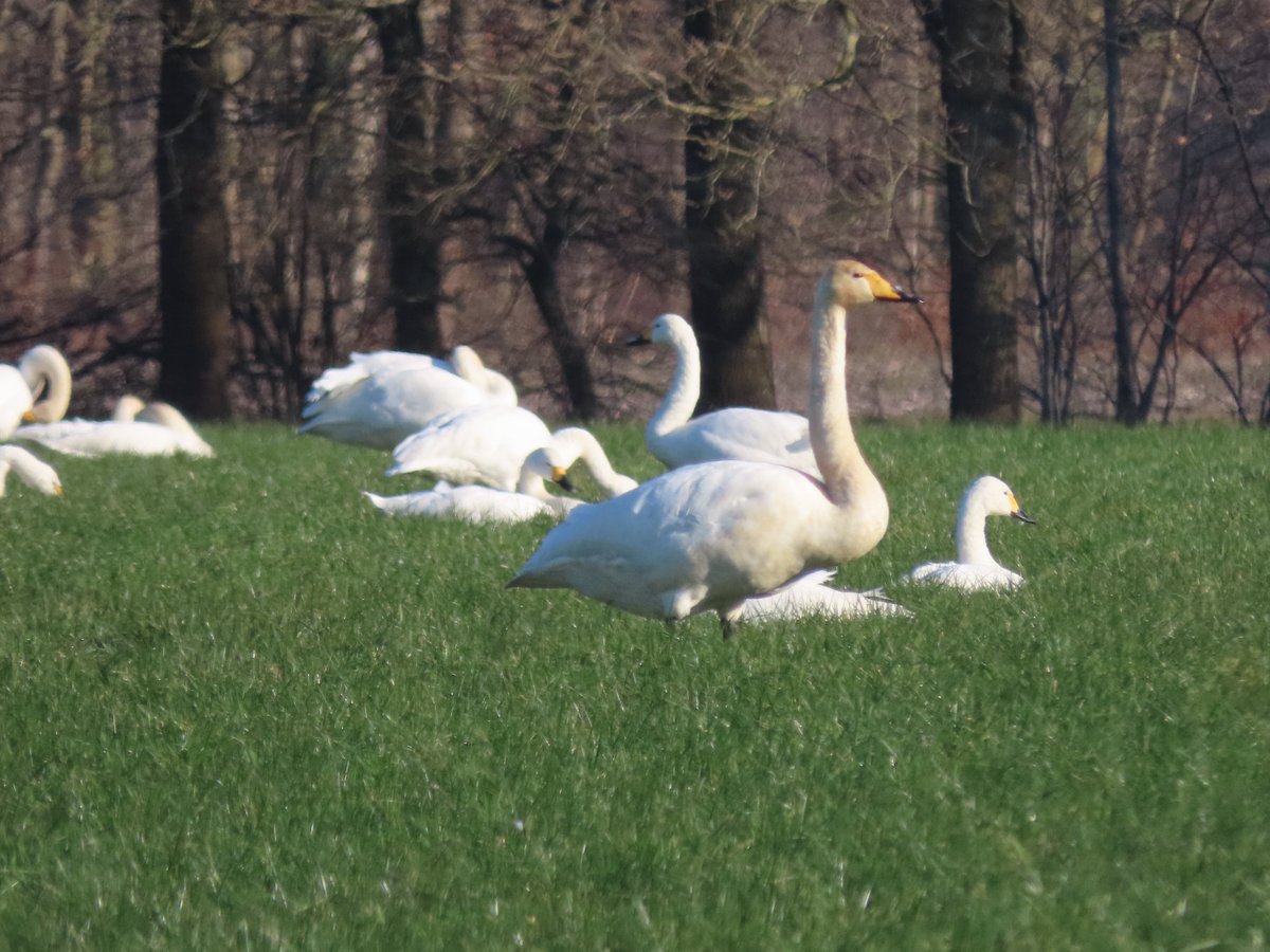 #Bluesky, ik ben inmiddels over gestapt op bluesky. Onder mijn eigen naam te vinden. Hoop dat er veel groene volgers van twitter zullen volgen. Op X zit ik wel in een time out stand, wie weet voor hoelang?