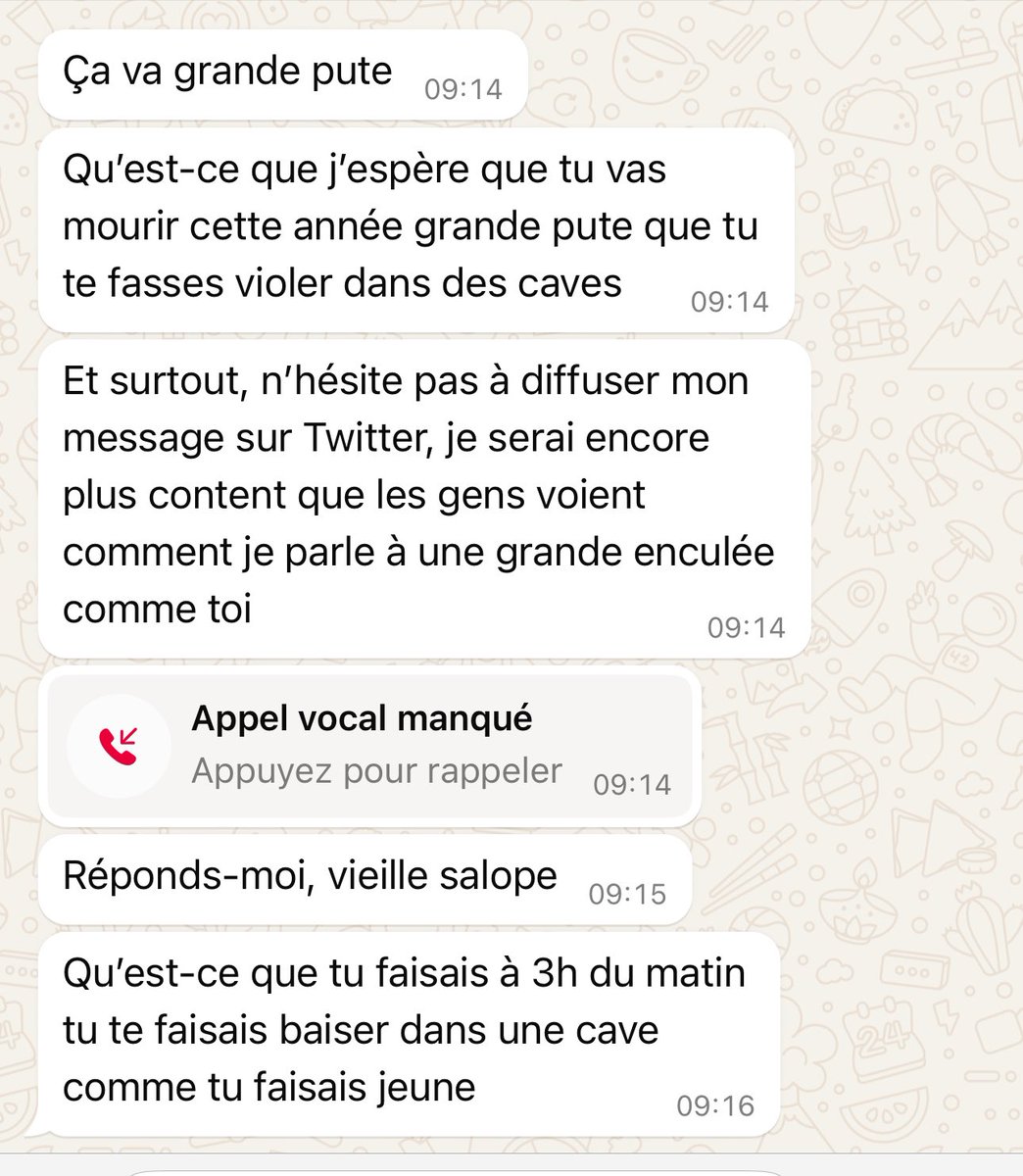 Rima Hassan tweet media