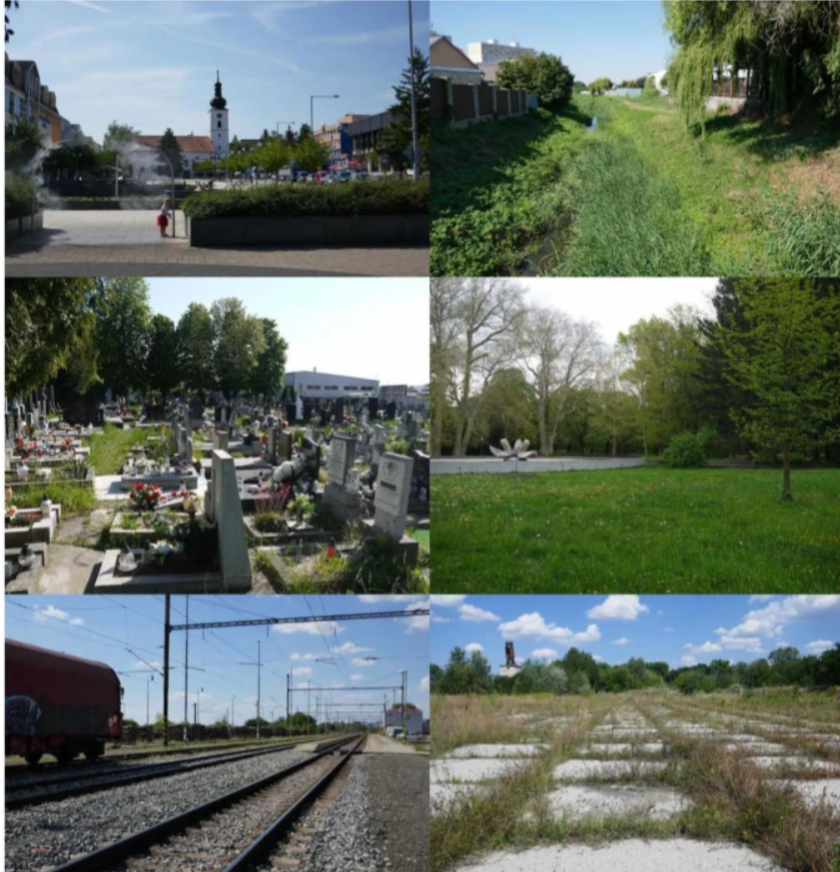 In 30 Slovak towns, we studied 6 habitats to find ‘surrogates’ for plant diversity. Cemeteries were richest, town centers poorest. Floodplains predicted species richness, railways/town centers helped with aliens, but none worked for Red List plants. doi.org/10.1007/s11252…