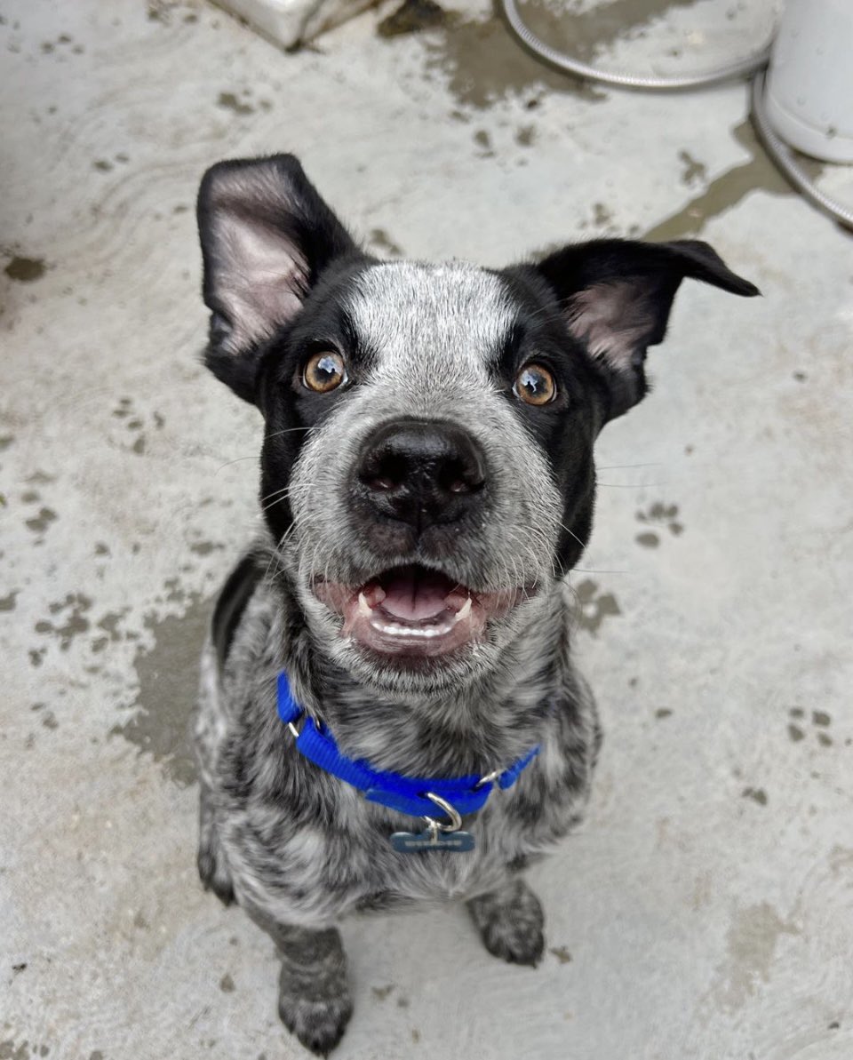 Tracy Buchholz tweet media