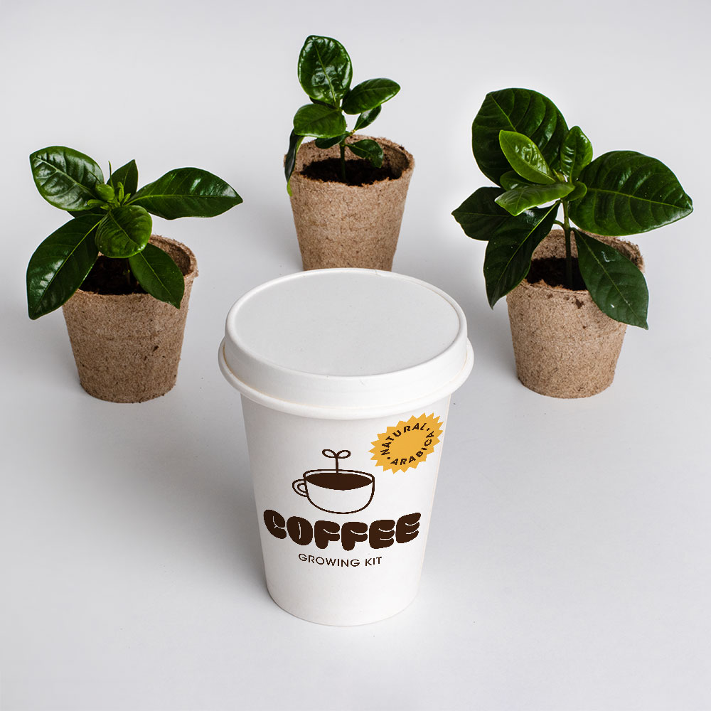 resetea_'s tweet photo. ☕🌿¡Cultiva tu propio café en casa!🌿☕

¿Te imaginas ver crecer tu propio cafeto? Con nuestro Kit de Cultivo de Café es fácil, sostenible y sólo por 12,90€.

Disfruta el café desde la raíz hasta la taza. 🌿☕

👉 https://t.co/wMLWZYaQVp

#CultivaTuCafé #RegaloOriginal #Resetea https://t.co/KuE4VaFPaP