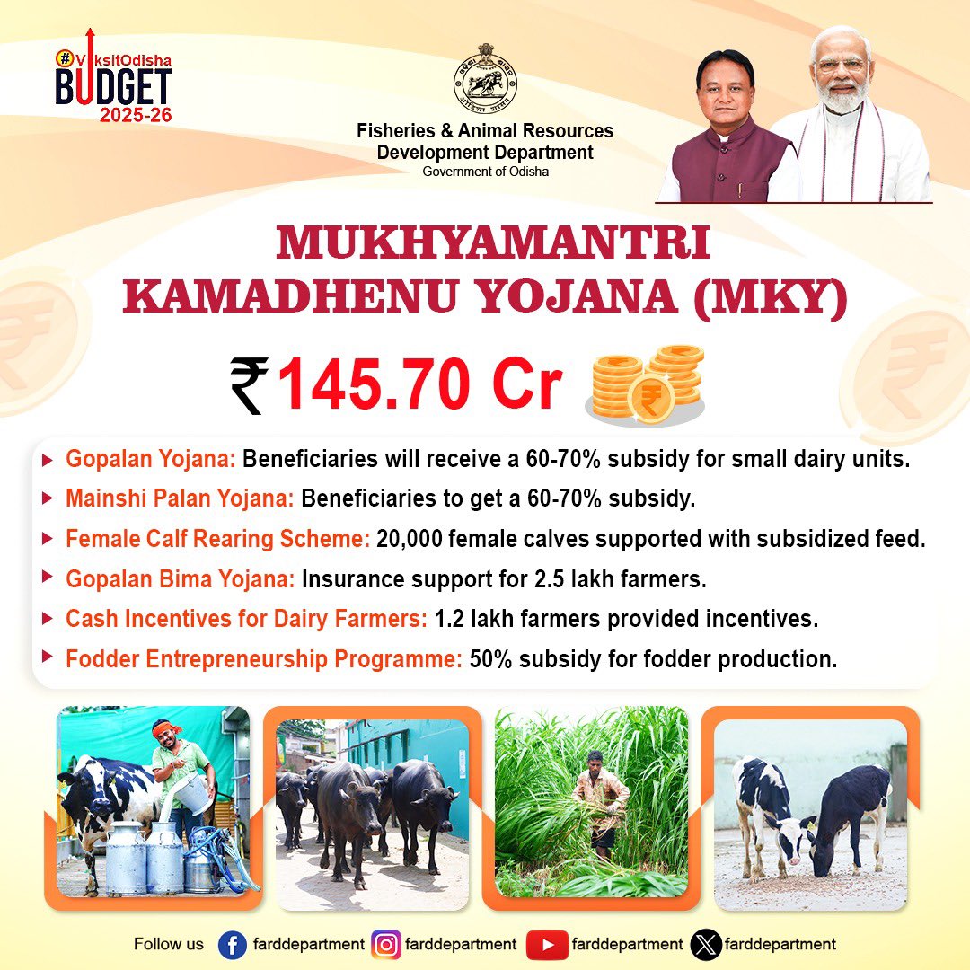 farddepartment's tweet image. 🐄 Mukhyamantri Kamadhenu Yojana (₹145.70 Cr) – Boosting Odisha&apos;s dairy sector with subsidies, insurance &amp;amp; incentives for farmers.🐂   

#OdishaBudget2025 #DairyDevelopment #LivestockWelfare