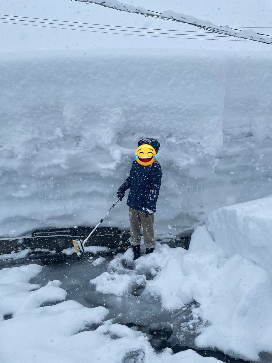 herb juta macko tweet media