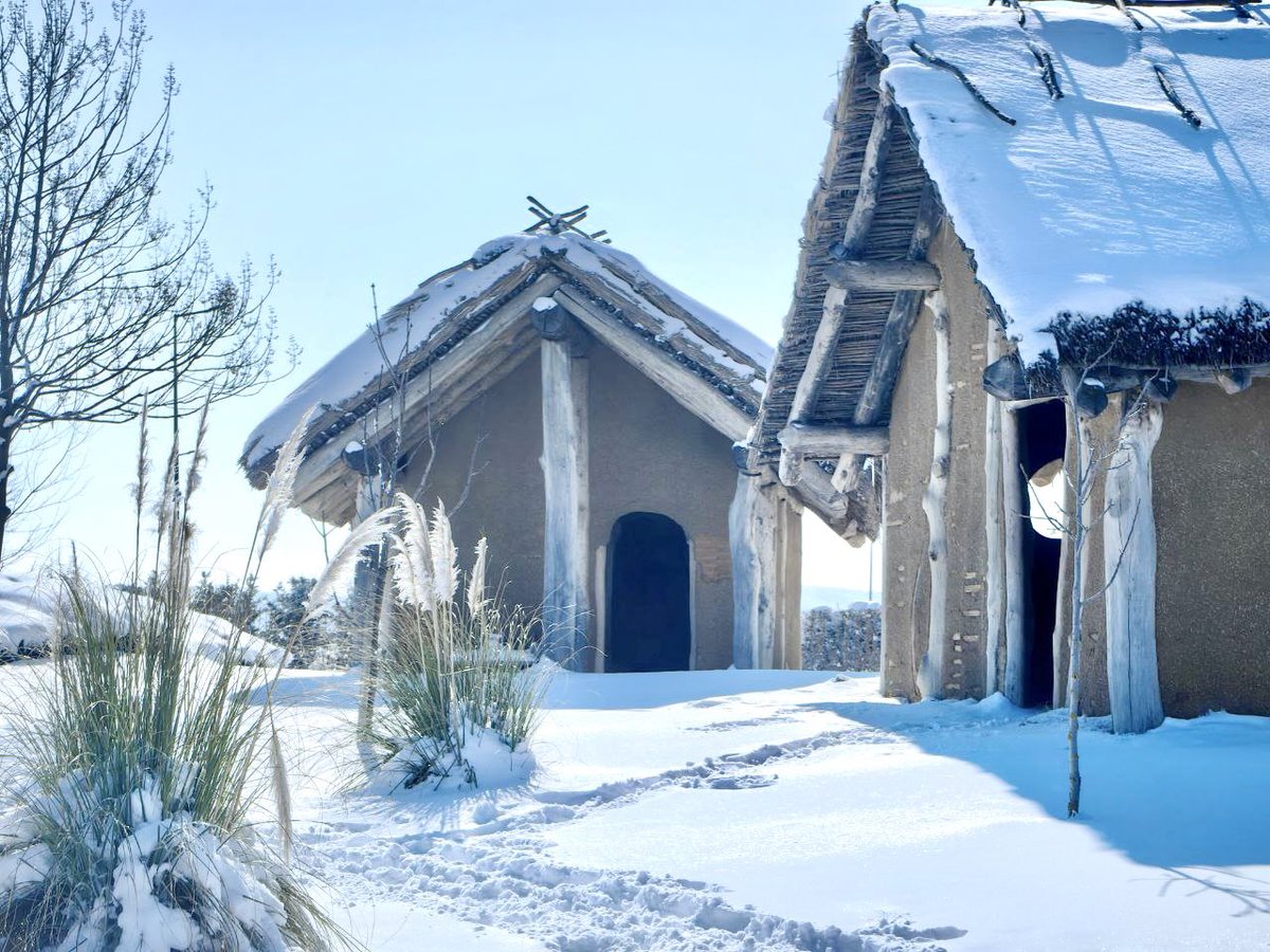ParkHistorical's tweet photo. ❄️ Приказно снежни мигове в Исторически парк! ❄️

Само градящият човек може истински да се наслади на ж��вота – и ние продължаваме да създаваме за вас едно място, където историята, красотата и уюта се сливат в едно.

Очакваме ви! ✨ https://t.co/TlNpaIQXpo