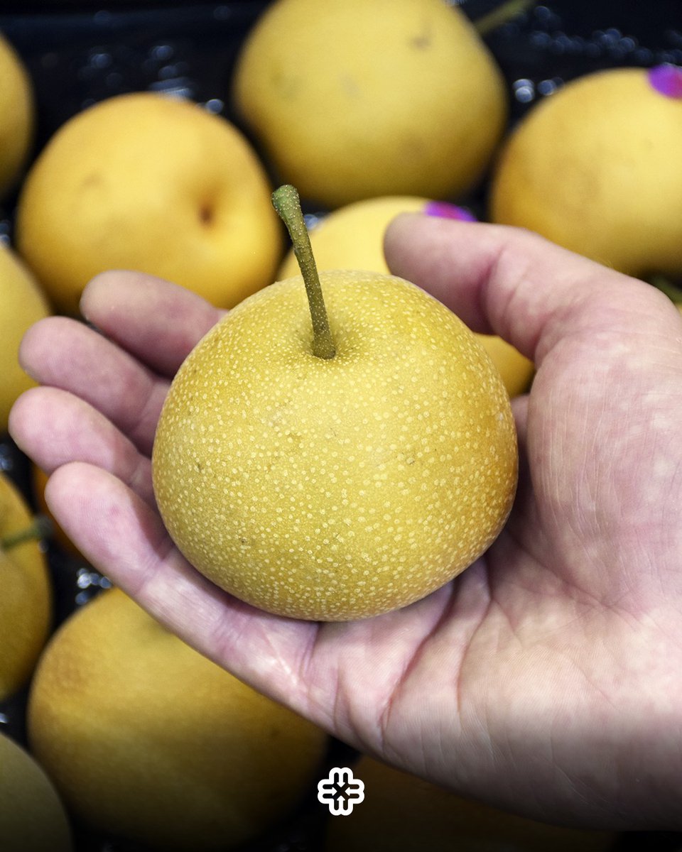 PERA ASIÁTICA 🍐

👉Variedad particular que se caracteriza por tener forma de manzana , buen dulzor y ser jugosa .

En nuestro país, se produce principalmente en Río Negro 🇦🇷.

¡La temporada de esta pera es ahora! Y se mantendrá hasta marzo.