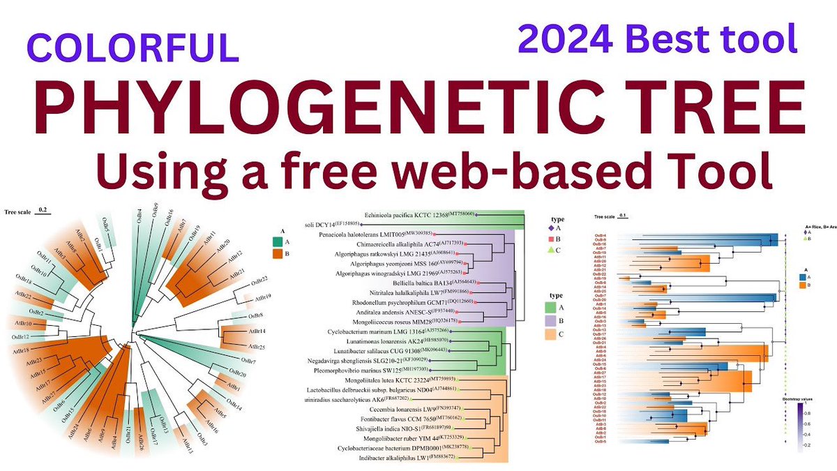 An excellent web-based resource for creating colorful phylogenetic trees for free 🆓 
🔗 How to draw a phylogenetic tree?
youtu.be/djfpSq26akI
#bioinformatics #genomics #phylogenomics