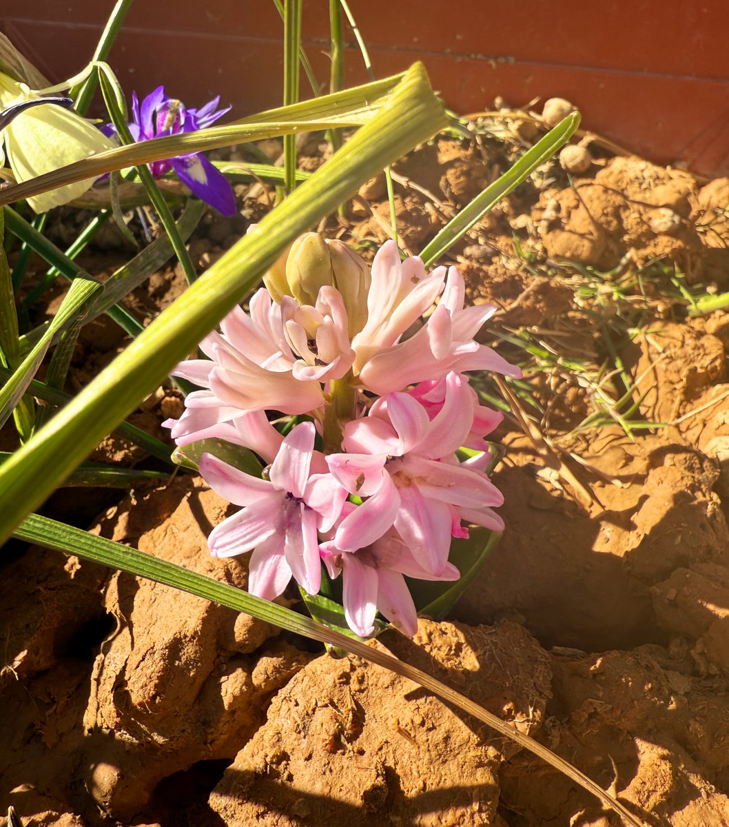 #سطر 
كُن أنت المؤثر في الحدث"لا تتأثر به"
#سيطر بوعيك على ما حولك
كي #تسيطر على انفعالاتك
و ردود أفعالك و مشاعرك
أو تجاهل كل ما حولك
وعُد لعالمك الأجمل
قف عند حدود ذاتك
احفظ مخزون مشاعرك
لا تقم بدور لم يطلب منك
△وتذكر"للكون رب يحميه"
🕊️#اورانوس_هاني🕊️
🕊𝑼𝒓𝒂𝒏𝒖𝒔🪬𝑯𝒂𝒏𝒊🕊