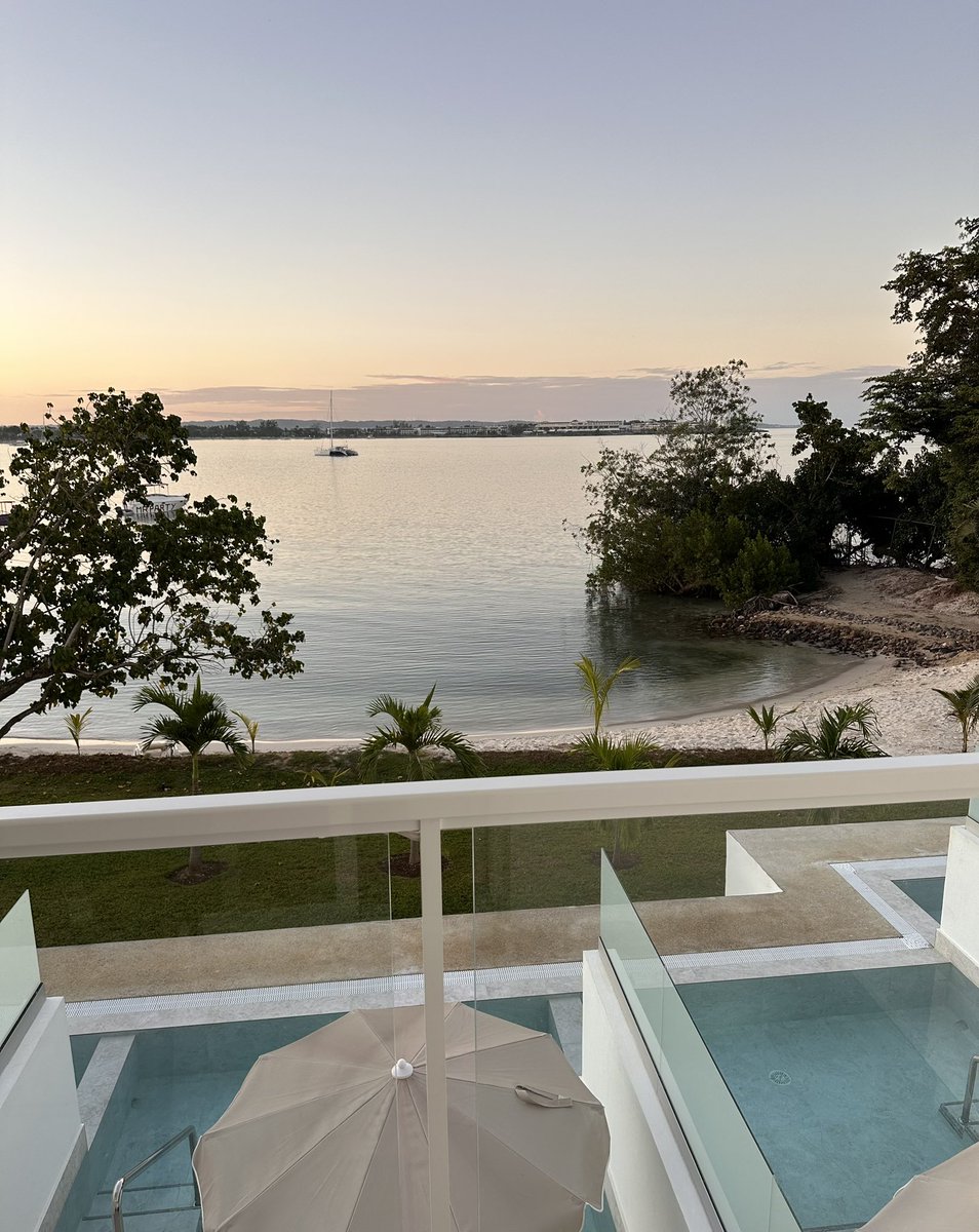 Gm from Jamaica 🇯🇲 let’s get this fart dust 🦄💨✨ $UFD