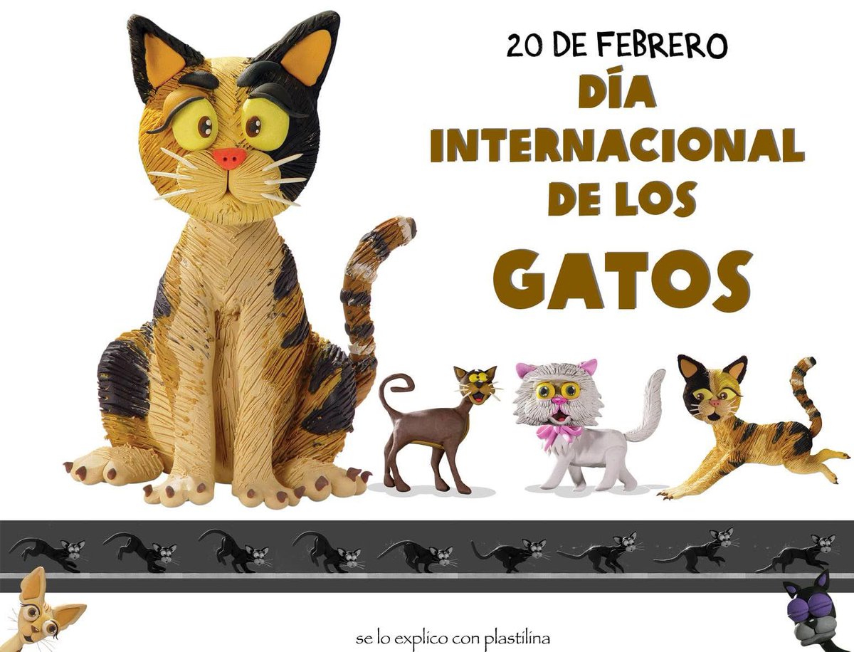 altereddie's tweet photo. ¡Hoy es el día internacional de los gatos!!!
de Manchitas, Sarita, Spinky, Akirani ¿Cómo se llama el suyo? ¡mande la foto!! https://t.co/Lrb5UhL9DX