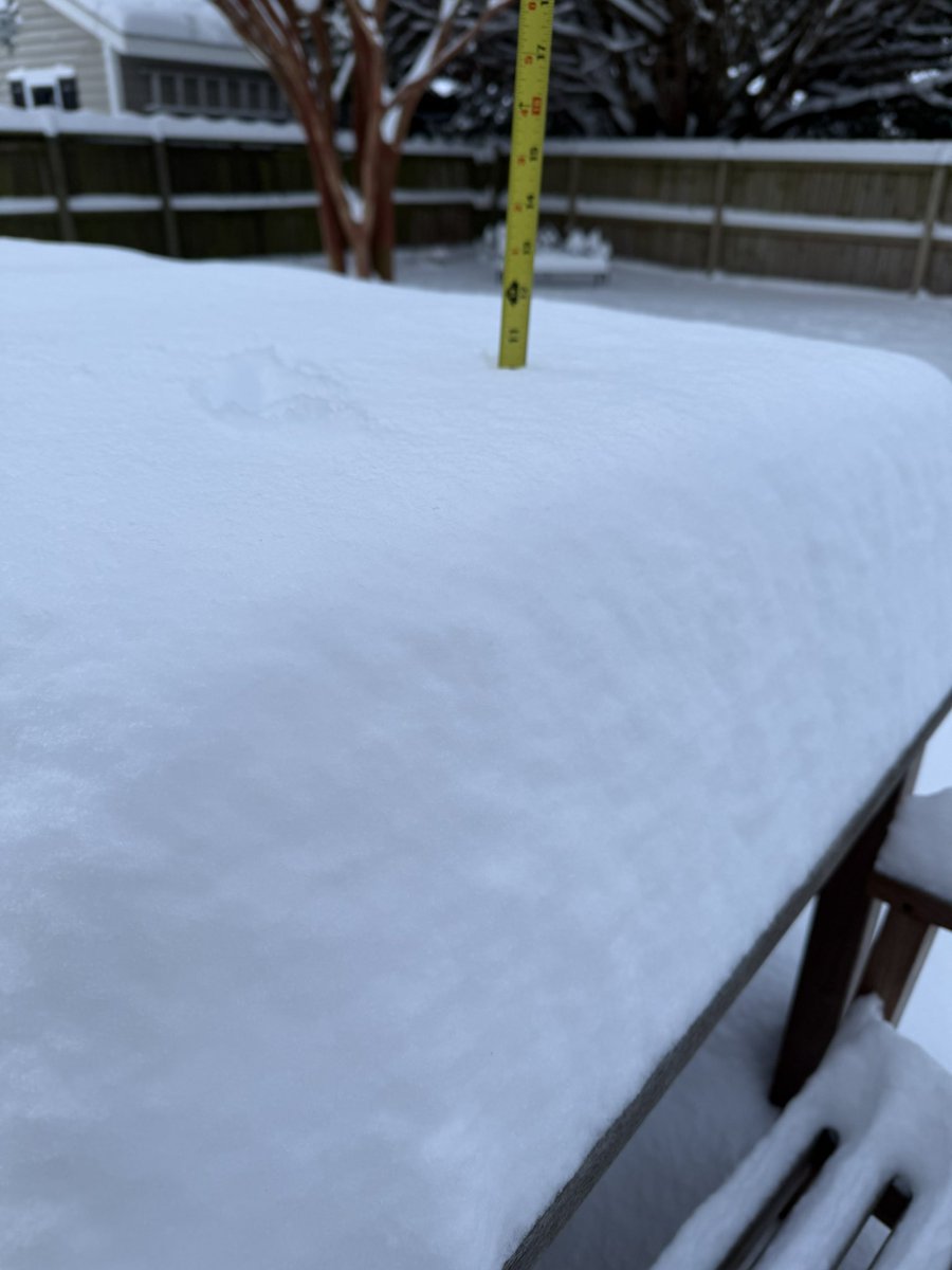 Michelle Shoffstall tweet media