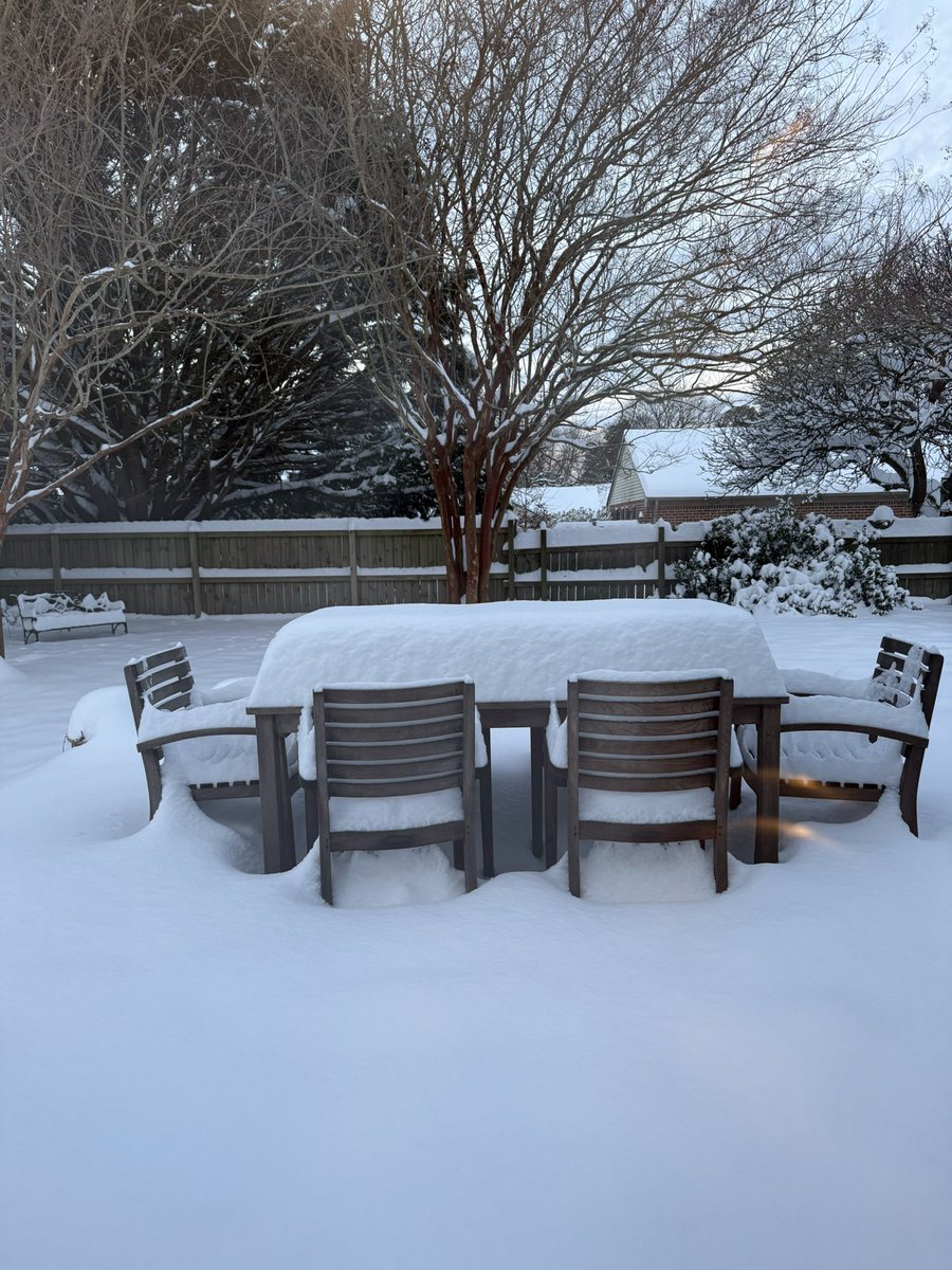 Michelle Shoffstall tweet media