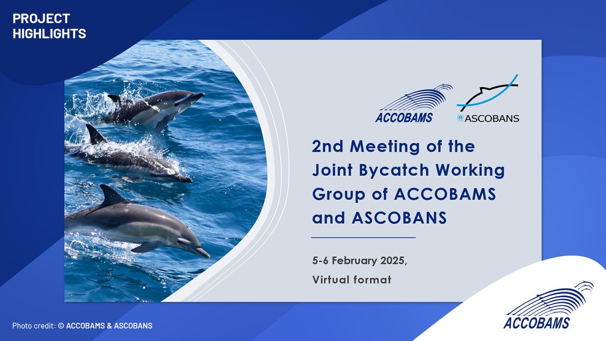 ACCOBAMS's tweet photo. 📢 The 2nd Joint Bycatch Working Group Meeting of ASCOBANS and ACCOBAMS focused on tackling bycatch and improving marine conservation efforts.

Learn more: https://t.co/jsNth17qn6

#ACCOBAMS #ASCOBANS #MarineConservation #Bycatch https://t.co/kYvbQ4q5Vf
