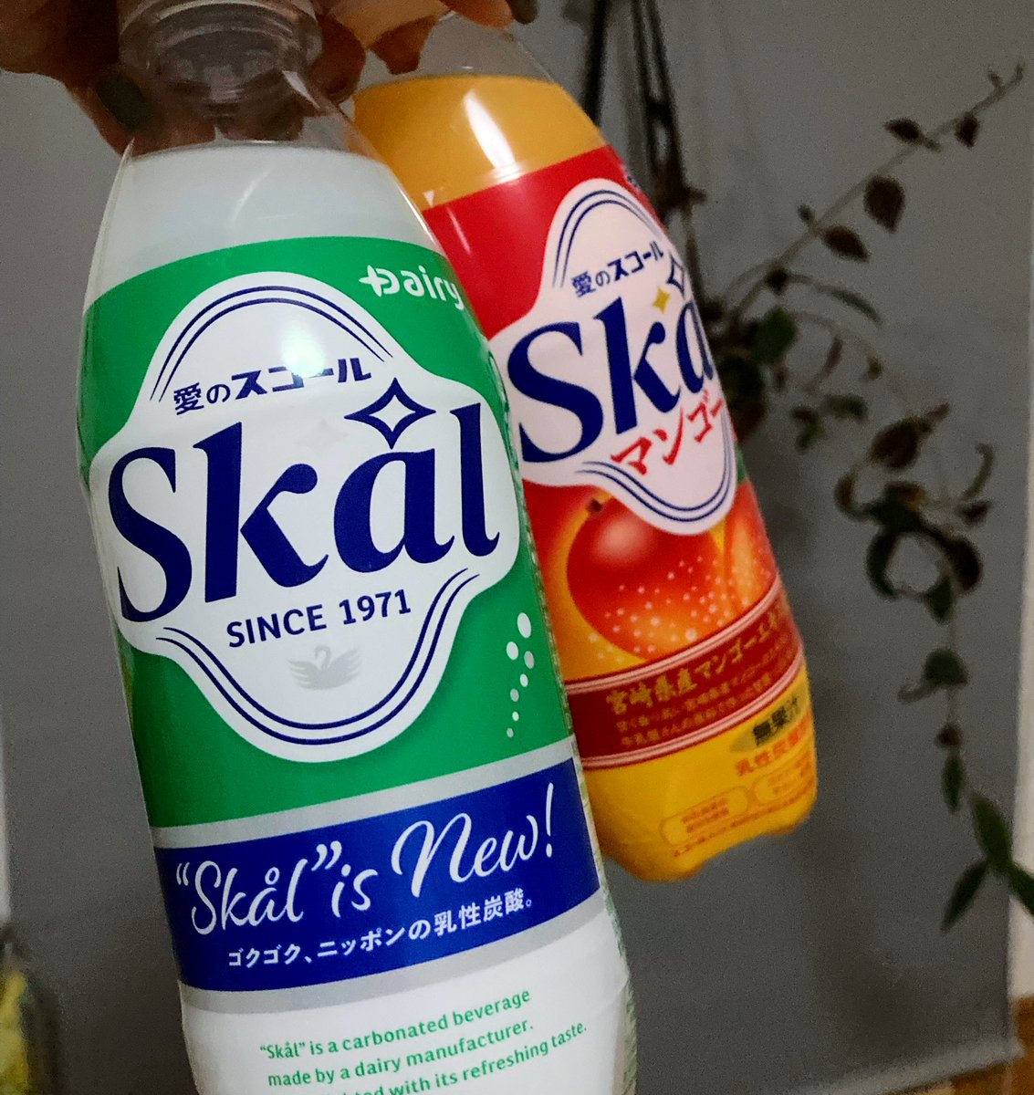 寒波がきたり、雪かきしたり、溜まった疲れがあったり、悩みがあったり…

ちゃんと自分にご褒美あげてますか？

大人もご褒美必要です
次くる難儀を乗り切るチカラになってくれます

まずは自身に優しく
そうすれば他者にも優しくなれます

#懐かしいよね
#８年前から
#愛のスコール
