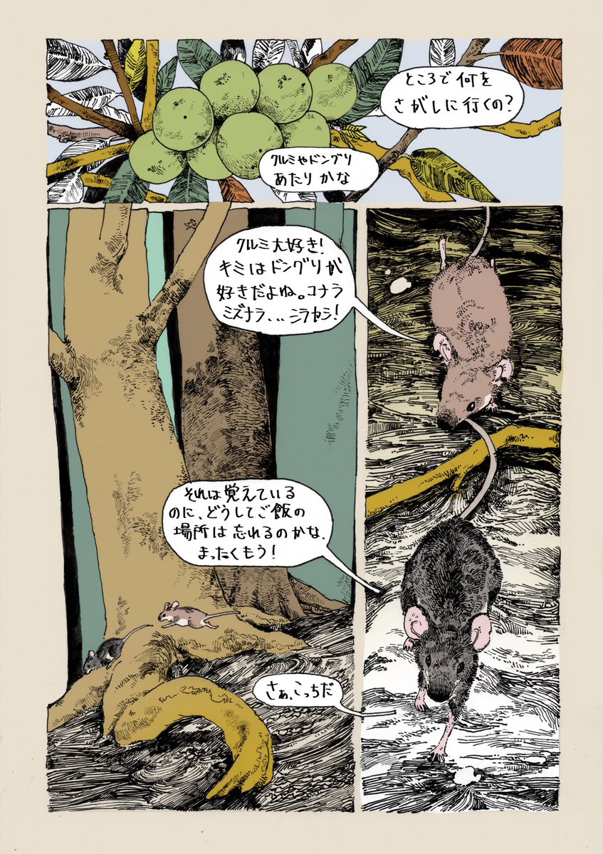 胡桃☀︎新宿展示6/12〜 tweet media