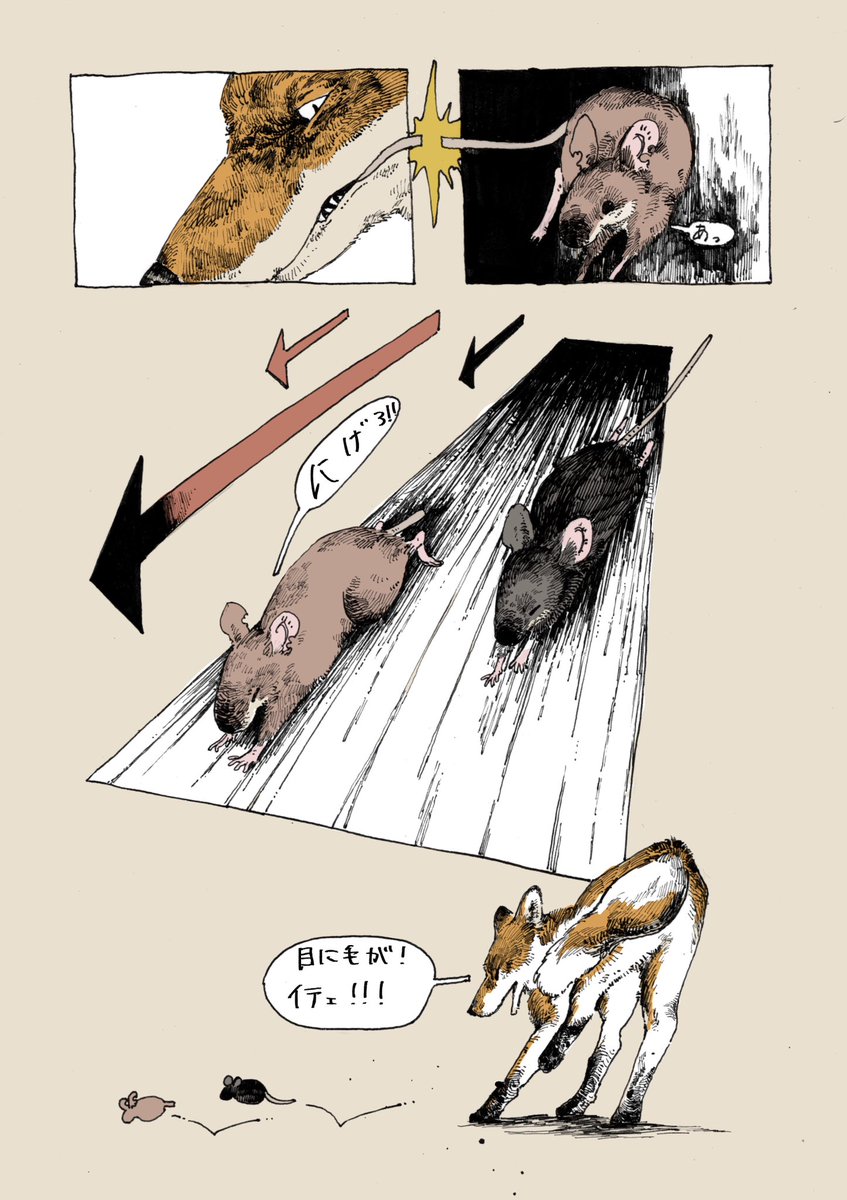 胡桃☀︎新宿展示6/12〜 tweet media