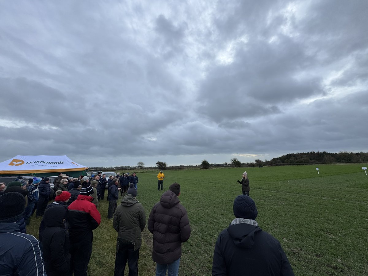 Fantastic crowd at the ITLUS spring workshop. Hosted at the <a href="/drummonds/">Scott Drummonds</a> trial site. Excellent information for all in attendance <a href="/AgronomistClare/">John O'Loughlin</a> <a href="/LizGlynn10/">Liz Glynn</a>