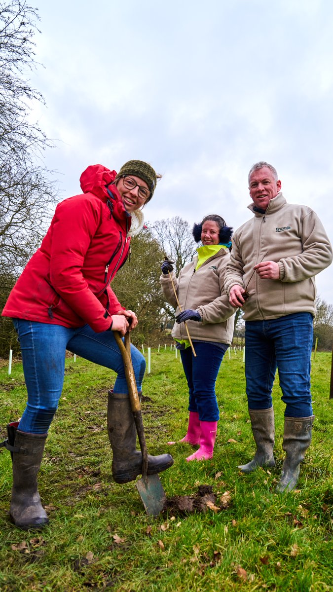 🎉Celebrating the one year anniversary of BV Dairy joining the First Milk family!

To mark the occasion, colleagues came together to plant 365 trees - one for each day that BV Dairy has been part of the First Milk family - showcasing our commitment to sustainability 🌳