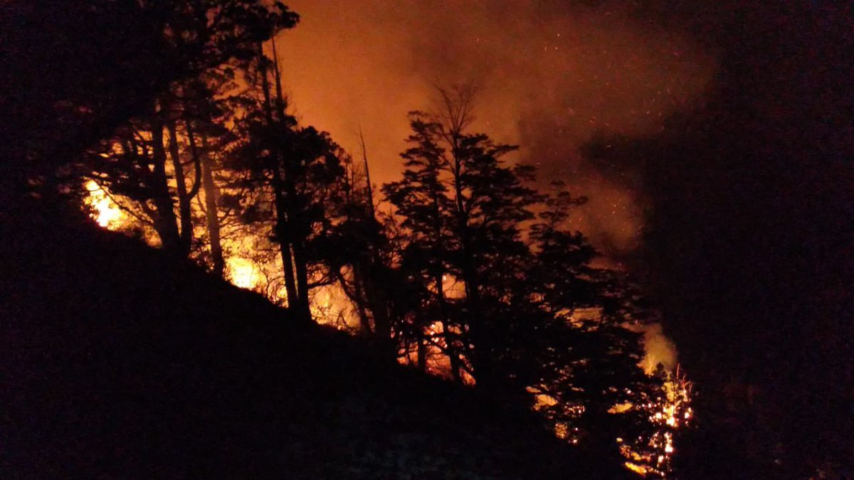 CristianGLarsen's tweet photo. OTRO INCENDIO INTENCIONAL: LOS GOLPISTAS DEL FUEGO NO PARAN, NOSOTROS TAMPOCO.

Lamentablemente, tenemos otro incendio INTENCIONAL. Esta vez en el Parque Nacional Los Alerces, justo en la zona antes usurpada por Lof Paillako, los maputruchos que vivieron ahí por 5 años y que desalojamos hace un mes.

La semana pasada la Policía detuvo en Esquel a una persona vinculada a los incendios, y le secuestraron bidones con acelerantes, manuales para fabricar explosivos y panfletos de incitación a la violencia. Nada es casual, estos terroristas tienen un plan sistemático para intentar desestabilizarnos.

Ya tenemos personal trabajando, con medios aéreos y vehículos desplegados. Cueste lo que cueste, el país va a salir adelante con cada uno de estos delincuentes presos. Estamos pagando los costos de quitarle los privilegios a terroristas financiados por el kirchnerismo y la izquierda.