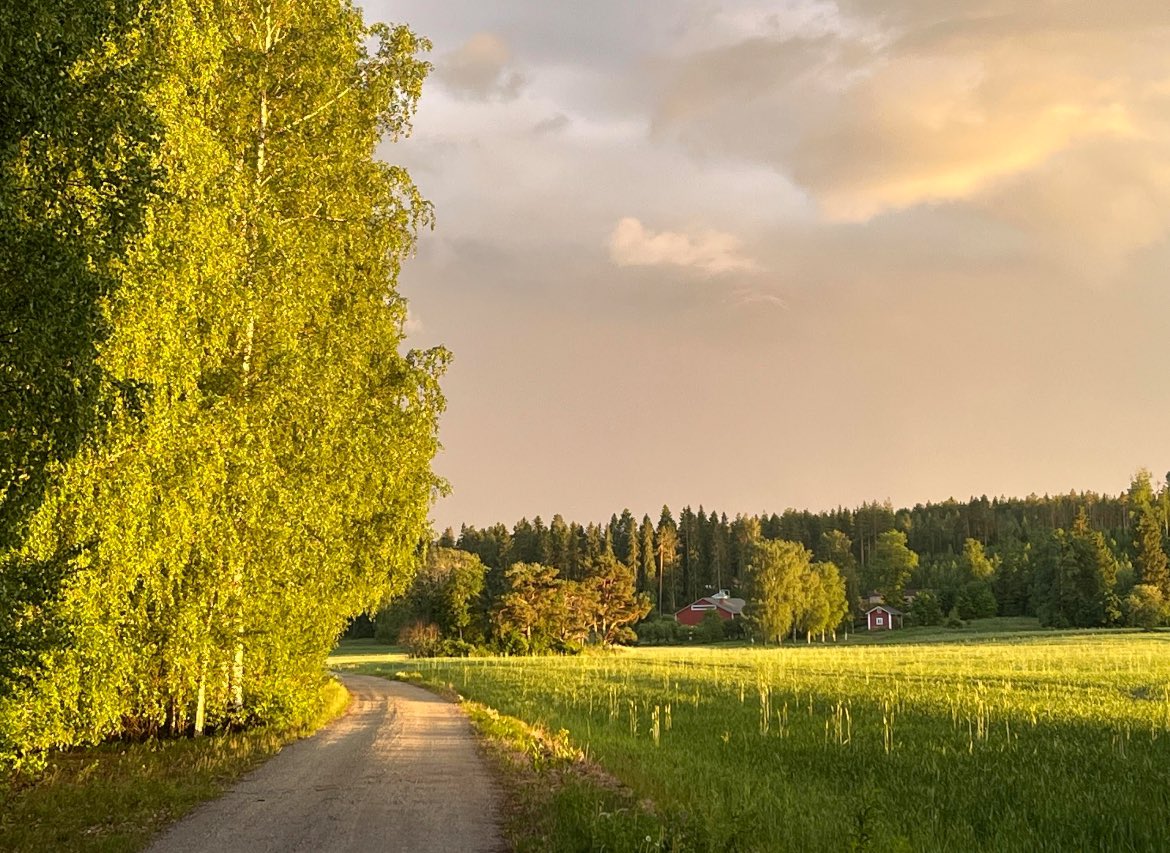 walks are gonna be like this again.. i can't wait