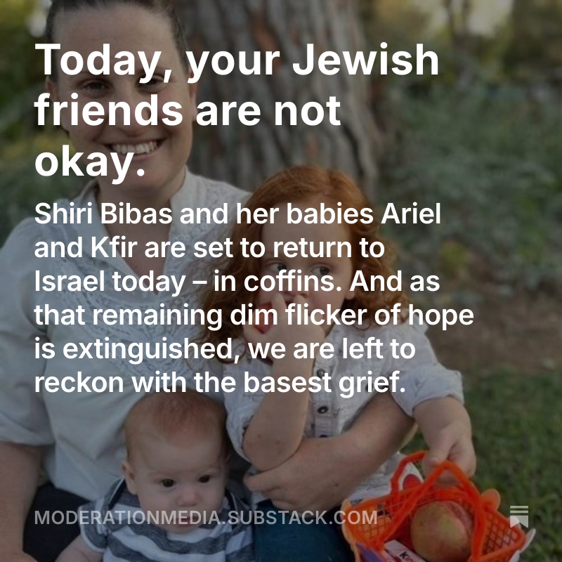 What do you do when you’re a writer who can’t find their words?
Gone are words on a page, organised neatly to make a sentence.
To make sense.
For perhaps no sense is left to be found.
Yet somehow today, the words pushed through.
This is how they landed...
shorturl.at/tT0py