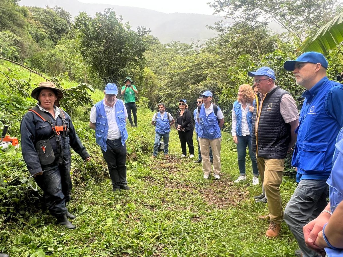 Autoridades de Chulumani en Yungas presentan iniciativas en desarrollo integral rural a <a href="/UNODCROCOL/">UNODC Región Andina y Cono Sur</a>, <a href="/UNODCBolivia/">UNODC Bolivia</a>🇧🇴, <a href="/UEenBolivia/">Unión Europea Bolivia</a>🇪🇺 y #EquipoEuropa, resaltando la importancia del #café y otros productos que impulsan la diversificación agricola como alternativa al cultivo de coca